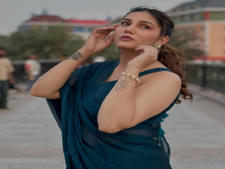 जब गैंगस्टर्स के लिए सपना चौधरी ने किया था इवेंट, स्टेज पर हुई बदसलूकी का शिकार जब गैंगस्टर्स के लिए सपना चौधरी ने किया था इवेंट, स्टेज पर हुई बदसलूकी का शिकार