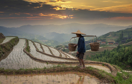 महासचिव शी चिनफिंग के नेतृत्व में गरीबी उन्मूलन की ऐतिहासिक गाथा पर पुस्तक प्रकाशित