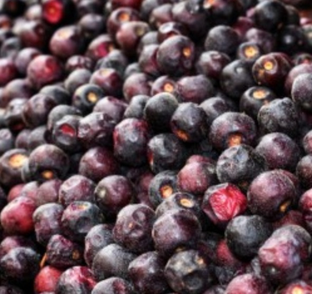 पाचन को मजबूत कर दिल की सेहत सुधारता है फालसा, जानें गर्मियों में किन लोगों को करना चाहिए सेवन