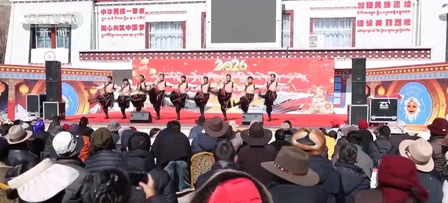 जमीनी स्तर के कला समूहों के पेशेवर स्तर को उन्नत करने पर सीपीपीसीसी सदस्य डालो का सुझाव