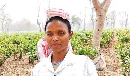 डिब्रूगढ़ के चाय मजदूर बोले- सरकारी योजनाओं से मिला फायदा, अब चाहिए 500 रुपए दैनिक मजदूरी