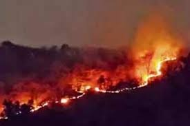 आग से दहक रहे झारखंड के जंगल, हाथियों के अधिवास वाले इलाकों तक पहुंचीं लपटें आग से दहक रहे झारखंड के जंगल, हाथियों के अधिवास वाले इलाकों तक पहुंचीं लपटें