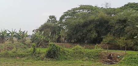 ओडिशाः केंद्रपाड़ा के कुशुनुपुर को ‘स्मार्ट विलेज’ के रूप में चुना गया, वैज्ञानिक नवाचार से बदलेगी तस्वीर