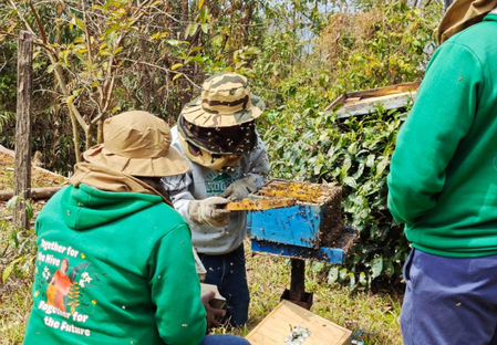 मणिपुर पीएम धन धान्य योजना के तहत शहद उत्पादन क्रांति लाने को तैयार तामेंगलोंग जिला, 1000 लीटर मासिक लक्ष्य