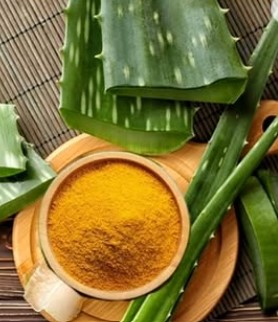 स्कैल्प की सफाई से मजबूती तक, गर्मियों में शैंपू-कंडीशनर नहीं, एलोवेरा से बनेगी बात