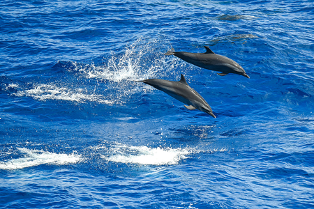 वांग यी ने समुद्री जैव विविधता पर समझौते की तीसरी तैयारी बैठक में वीडियो संबोधन दिया