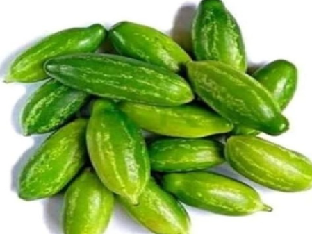 गर्मियों में मिलने वाली संजीवनी है कुंदरू, दिल से लेकर पेट का रखेगा का ख्याल गर्मियों में मिलने वाली संजीवनी है कुंदरू, दिल से लेकर पेट का रखेगा का ख्याल