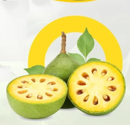 गर्मी में शरीर को ठंडा रखता है बेल का शर्बत, जानें बनाने का आसान तरीका