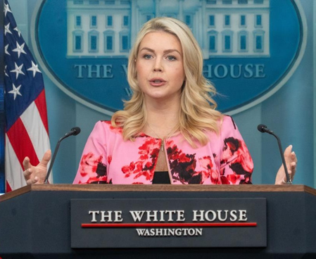 Trump 'interested' in asking Arab countries to help pay for US-Israeli war with Iran: White House