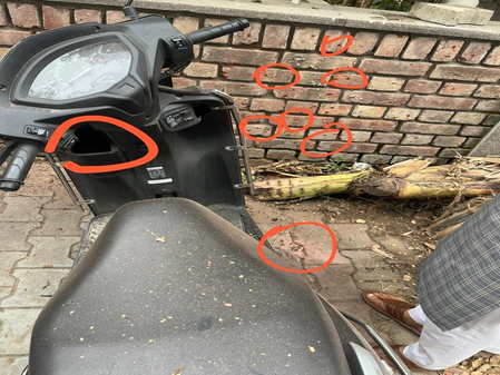 चंडीगढ़ में भाजपा ऑफिस के बाहर विस्फोट, जांच में जुटी पुलिस