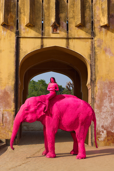 पेटा इंडिया का रूसी कलाकार को फरमान, चंचल हाथी का प्रिंट हटाओ या सभी आय दान करो