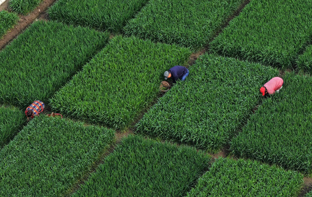 महेंद्रगढ़ में विधायक कंवर सिंह ने किसानों को ट्रैक्टर की चाबी सौंपी, 3 लाख रुपए की मिली छूट महेंद्रगढ़ में विधायक कंवर सिंह ने किसानों को ट्रैक्टर की चाबी सौंपी, 3 लाख रुपए की मिली छूट