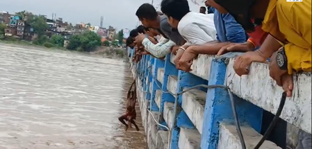 बिहार रबर डैम से पानी छोड़ा गया, फल्गु नदी में मछलियों की लूट बिहार रबर डैम से पानी छोड़ा गया, फल्गु नदी में मछलियों की लूट