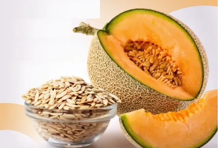 ‘खरबूजे के बीज’ पोषक तत्वों से भरपूर सुपरफूड, इम्युनिटी बूस्ट तो ब्लड प्रेशर को करे कंट्रोल ‘खरबूजे के बीज’ पोषक तत्वों से भरपूर सुपरफूड, इम्युनिटी बूस्ट तो ब्लड प्रेशर को करे कंट्रोल