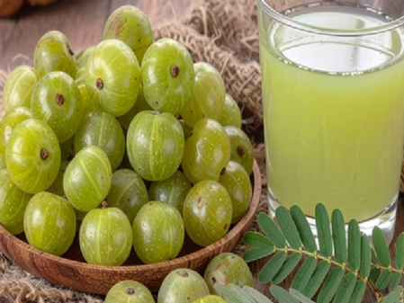 आंवला शरबत  गर्मियों का टॉनिक, पीने के मिलेंगे अनगिनत लाभ