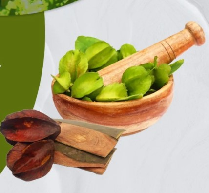 ब्लड प्रेशर और कोलेस्ट्रॉल नियंत्रित करने में मददगार अर्जुन की छाल