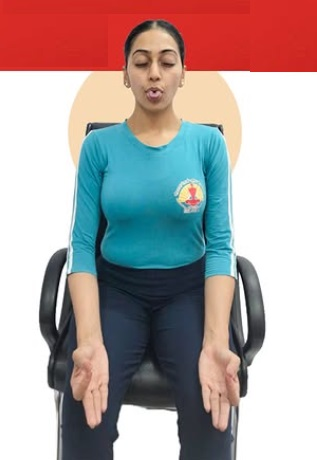 फ्लाइट में भी कर सकते हैं योग, यहां समझें आयुष मंत्रालय का इन-फ्लाइट योग रूटीन फ्लाइट में भी कर सकते हैं योग, यहां समझें आयुष मंत्रालय का इन-फ्लाइट योग रूटीन