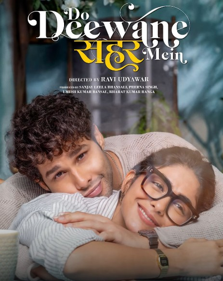 अब ओटीटी पर दो दीवाने सहर में का उठाएं लुत्फ, मृणाल और सिद्धांत का देखिए जादू