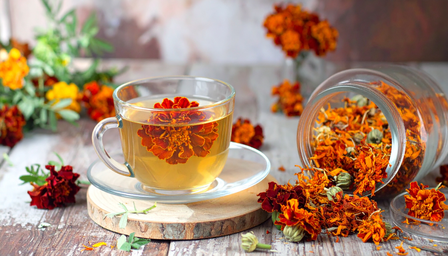 कमल, गुड़हल से मौलश्री तक... गर्मियों में ट्राई करें फूलों से बनी चाय, पूरे दिन बनी रहेगी ताजगी और एनर्जी