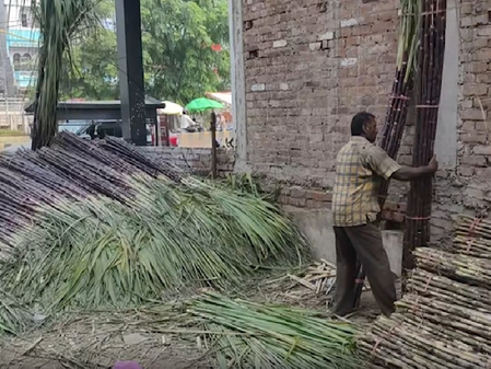 यूपी में गन्ना किसानों की फसल का होगा जीपीएस सर्वे, सीएम योगी के निर्देश पर तैयारी शुरू