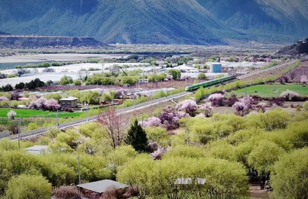 पहली तिमाही में शीत्सांग की जीडीपी 77.8 अरब युआन से अधिक, वार्षिक आधार पर 6.1 प्रतिशत की वृद्धि