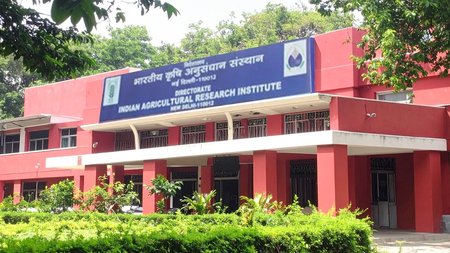 आईसीएआर-आईएआरआई में नौकरी का मौका यंग प्रोफेशनल सहित 32 पदों पर भर्ती जारी, अंतिम तिथि 13 मई तक