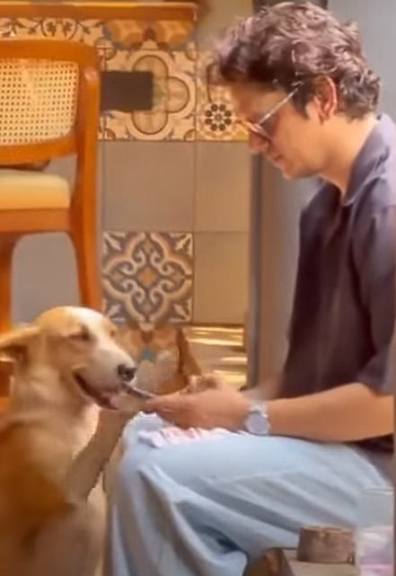Vijay Varma shares a hilarious take on how the disaster alert caught him off guard