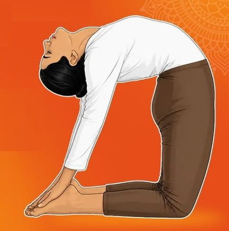 दिन भर छाई रहती है सुस्ती, छोटे-छोटे काम के बाद थक जाता है शरीर? उष्ट्रासन से दूर होगी समस्याएं दिन भर छाई रहती है सुस्ती, छोटे-छोटे काम के बाद थक जाता है शरीर? उष्ट्रासन से दूर होगी समस्याएं