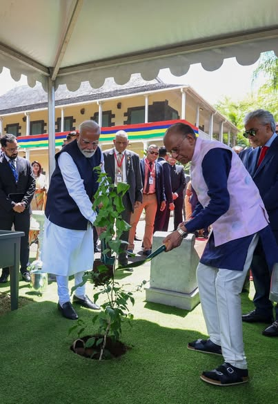 इटली से पहले इथोपिया और मॉरीशस समेत इन देशों में भी पीएम मोदी ने लगाया 'एक पेड़ मां के नाम' इटली से पहले इथोपिया और मॉरीशस समेत इन देशों में भी पीएम मोदी ने लगाया 'एक पेड़ मां के नाम'