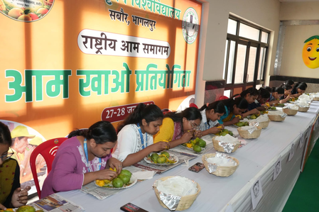 बिहार बीएयू का राष्ट्रीय आम समागम संपन्न, 1,100 से अधिक किस्मों की प्रदर्शनी