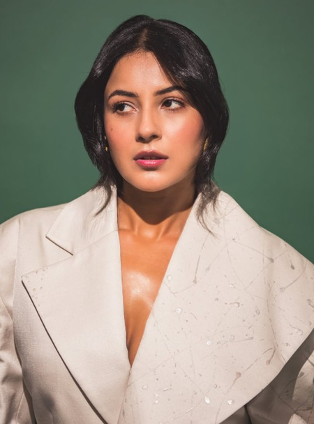बी प्राक के गाने नरक को शहनाज गिल ने दिया यूनिक टच, निम्मा और नसीमा का दर्द भी बताया