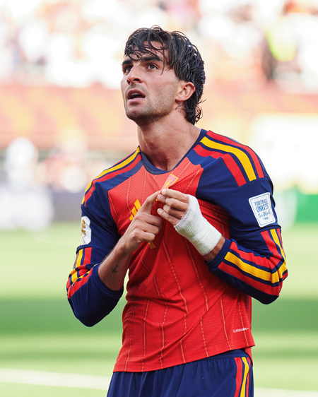 Torres says fate favoured Spain in World Cup final Torres says fate favoured Spain in World Cup final