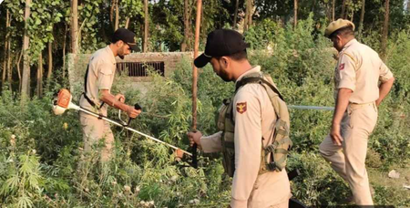 नशा मुक्त जम्मू-कश्मीर अभियान के सौ दिन पूरे, बारामूला पुलिस को मिली बड़ी सफलता नशा मुक्त जम्मू-कश्मीर अभियान के सौ दिन पूरे, बारामूला पुलिस को मिली बड़ी सफलता