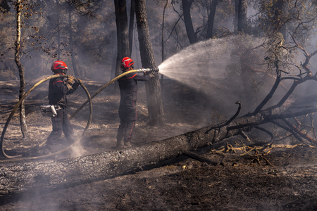 Macron thanks firefighters and security forces for efforts amid wildfires Macron thanks firefighters and security forces for efforts amid wildfires