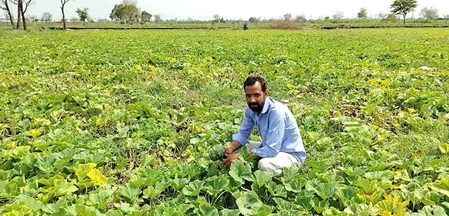 पीएम किसान सम्मान निधि योजना 2030-31 तक जारी, हरियाणा के किसानों ने फैसले का किया स्वागत पीएम किसान सम्मान निधि योजना 2030-31 तक जारी, हरियाणा के किसानों ने फैसले का किया स्वागत