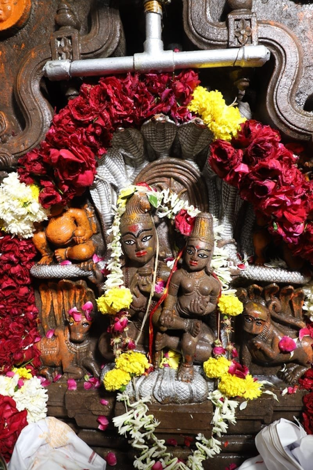 उज्जैन के नागचन्द्रेश्वर मंदिर में उमड़ी भक्तों की भीड़ उज्जैन के नागचन्द्रेश्वर मंदिर में उमड़ी भक्तों की भीड़