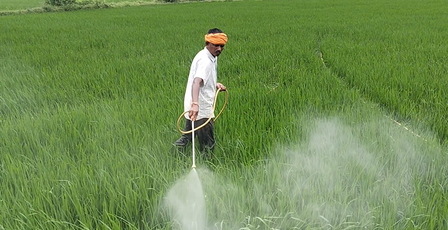 छत्तीसगढ़ धमतरी के किसानों के लिए वरदान साबित हुई फसल बीमा योजना, टूटा 5 साल का रिकॉर्ड छत्तीसगढ़ धमतरी के किसानों के लिए वरदान साबित हुई फसल बीमा योजना, टूटा 5 साल का रिकॉर्ड