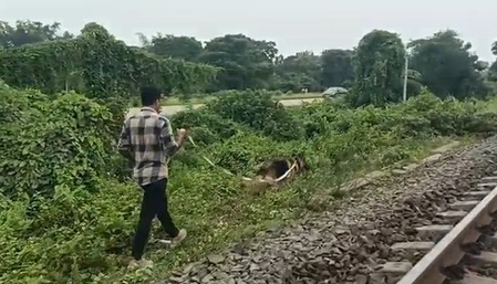 पश्चिम बंगाल रेलवे लाइन और नेशनल हाईवे के बीच शव मिलने से हड़कंप, पुलिस जांच शुरू