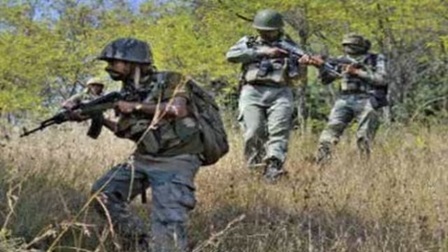 बीजापुर में नक्सलियों के मंसूबों पर बड़ा प्रहार, सुरक्षा बलों ने बरामद किया भारी विस्फोटक जखीरा बीजापुर में नक्सलियों के मंसूबों पर बड़ा प्रहार, सुरक्षा बलों ने बरामद किया भारी विस्फोटक जखीरा