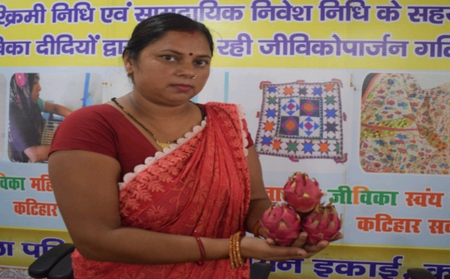 बिहार ड्रैगन फ्रूट की खेती से खुली तरक्की की राह, रीना देवी बनीं गांव की प्रेरणा बिहार ड्रैगन फ्रूट की खेती से खुली तरक्की की राह, रीना देवी बनीं गांव की प्रेरणा
