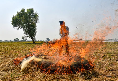 पंजाब में 49 पराली जलाने की घटनाएं दर्ज, 10 मामलों में लगाया गया 50 हजार रुपये जुर्माना पंजाब में 49 पराली जलाने की घटनाएं दर्ज, 10 मामलों में लगाया गया 50 हजार रुपये जुर्माना