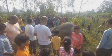 झारखंड के चाईबासा में खेत में मृत पाई गई हथिनी, दोनों दांत काट ले गए तस्कर झारखंड के चाईबासा में खेत में मृत पाई गई हथिनी, दोनों दांत काट ले गए तस्कर