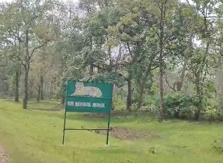 मध्य प्रदेश में चीतों का तीसरा बसेरा बनेगा सागर का रानी दुर्गावती टाइगर रिजर्व मध्य प्रदेश में चीतों का तीसरा बसेरा बनेगा सागर का रानी दुर्गावती टाइगर रिजर्व