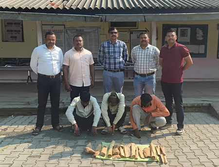महाराष्ट्र वाशिम जिले के रिसोड में 9 किलो चंदन के साथ 3 चंदन चोर गिरफ्तार