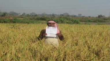 ललितपुर को नेचुरल फार्मिंग डिस्ट्रिक्ट के रूप में विकसित करने की तैयारी, हर मंडल के एक जिले तक विस्तार पर मंथन ललितपुर को नेचुरल फार्मिंग डिस्ट्रिक्ट के रूप में विकसित करने की तैयारी, हर मंडल के एक जिले तक विस्तार पर मंथन