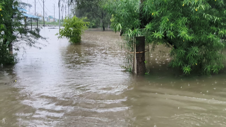 मौसम विभाग ने पूर्वी मध्य प्रदेश में भारी बारिश के लिए जारी किया ऑरेंज अलर्ट