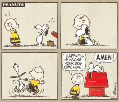 peanuts comic strips