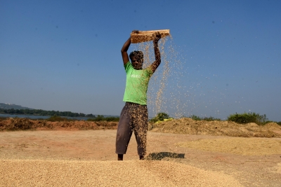 India to see record kharif output growth, foodgrain production to cross 173 million tonnes India to see record kharif output growth, foodgrain production to cross 173 million tonnes