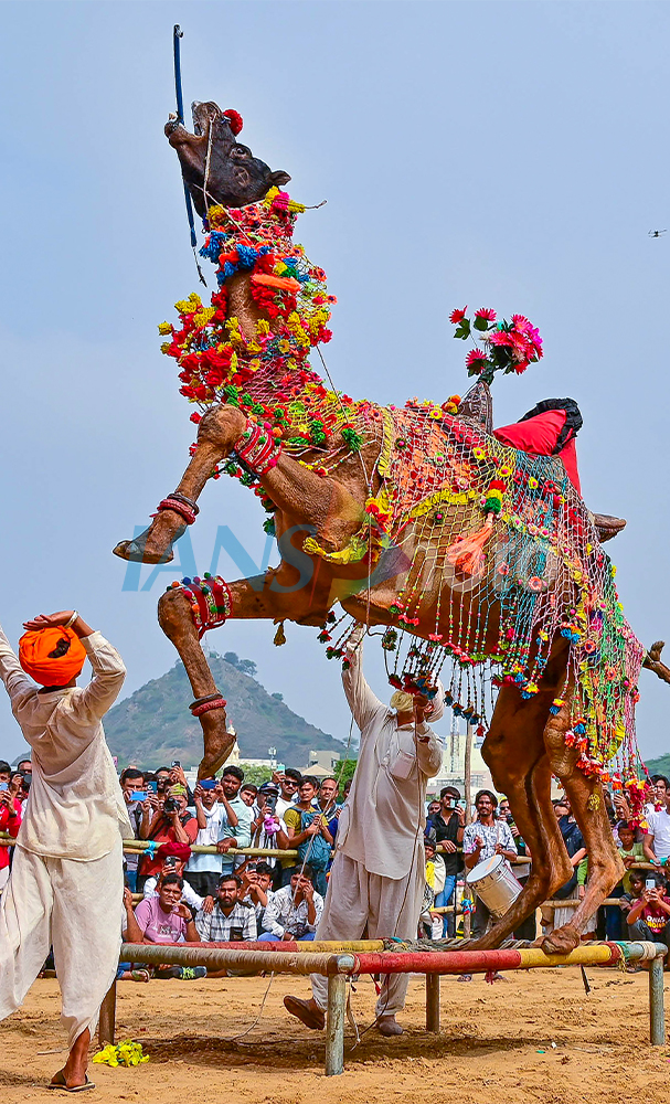 Pushkar Fair 2025 in Pushkar, Ajmer