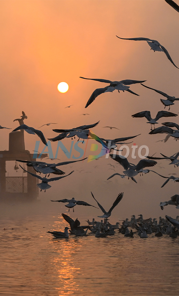 Winter Dawn at Gwarighat in Jabalpur